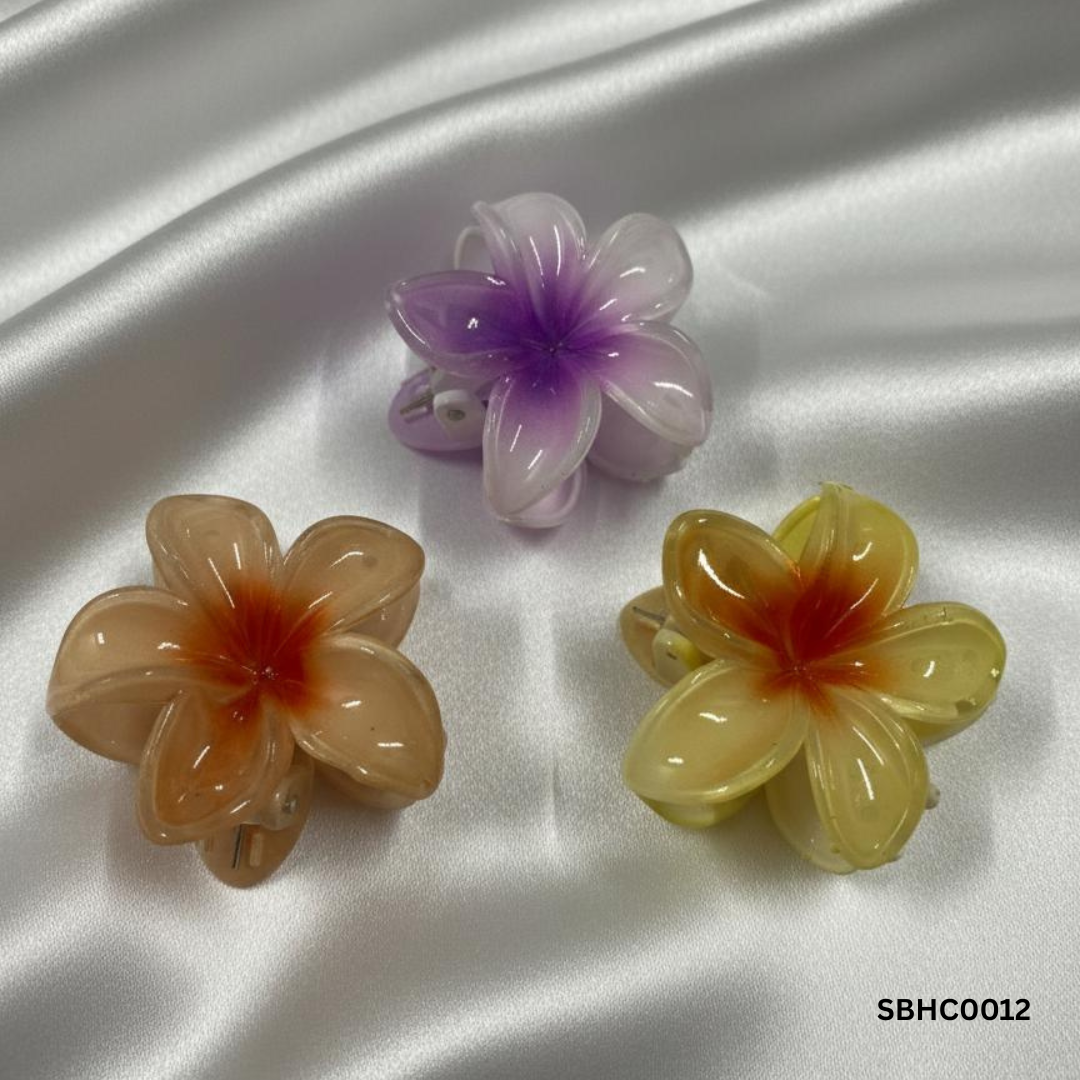 Trendy Big Hairclips Combo Set of 3