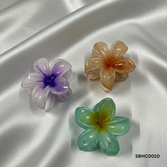 Colourful Floral Big Hair Clips Combo Set Of 3