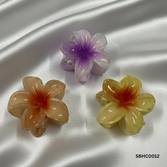 Trendy Big Hairclips Combo Set of 3